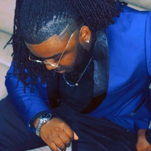 African American Brotherlocks Hairstyles