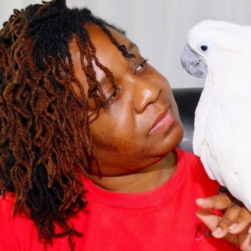 Mixed Colored Hairstyle