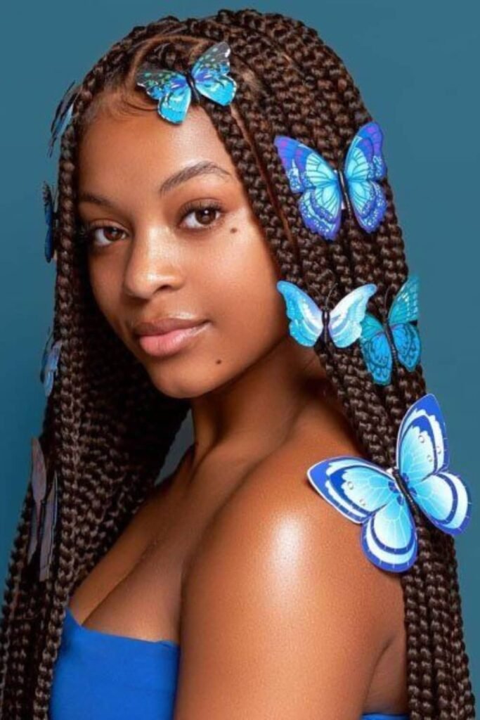Butterfly Clip Braids