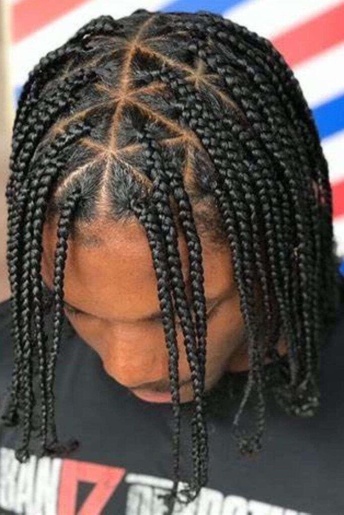 Twisted Braids for Black Men