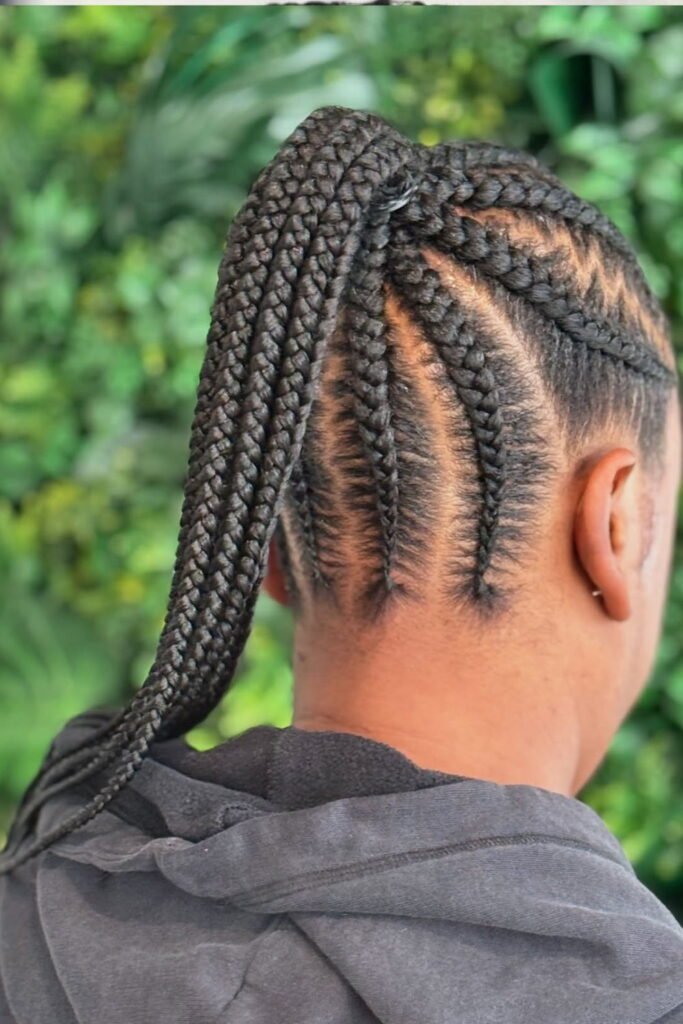 Braided Ponytail
