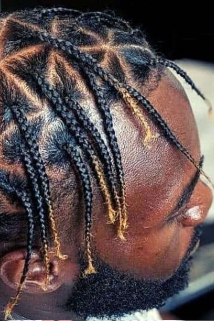 Triangle Part Box Braids with Color