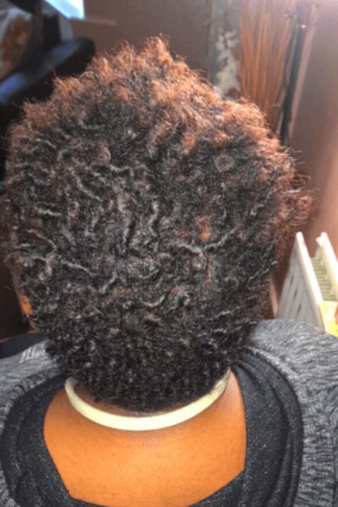 Short Starter Locs