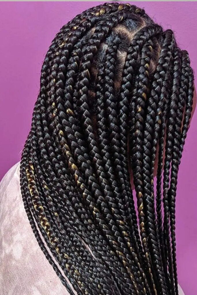 . Box Braids