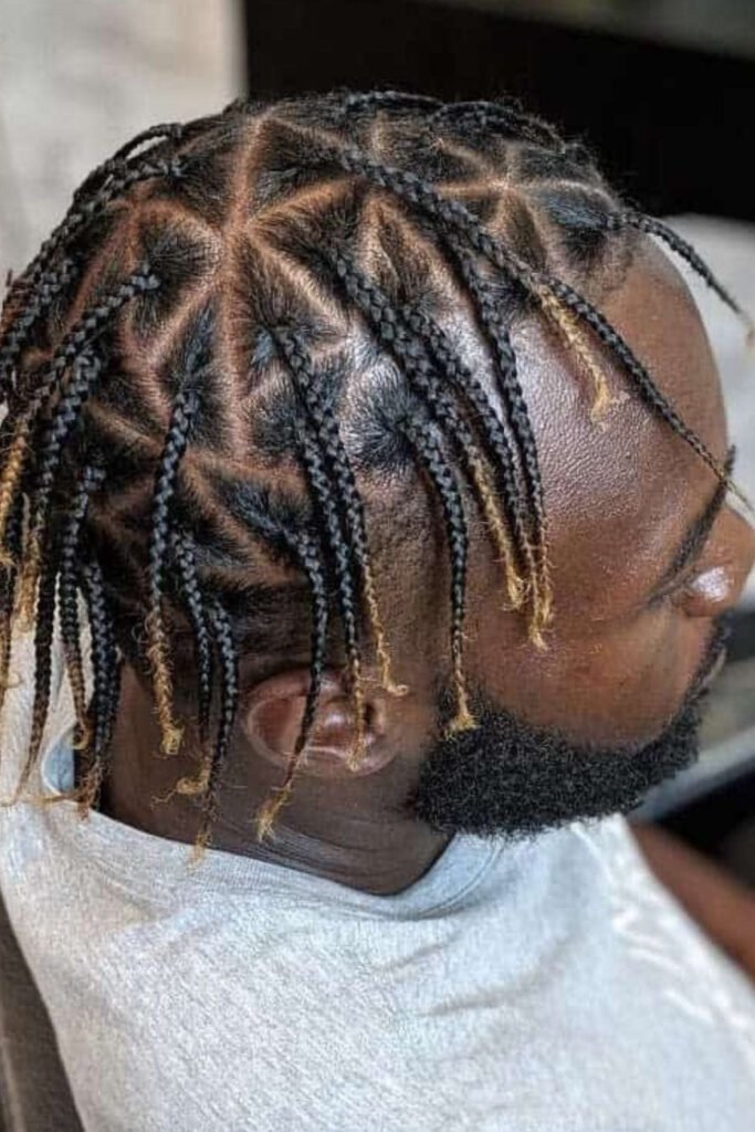 Colored Triangle Box Braids