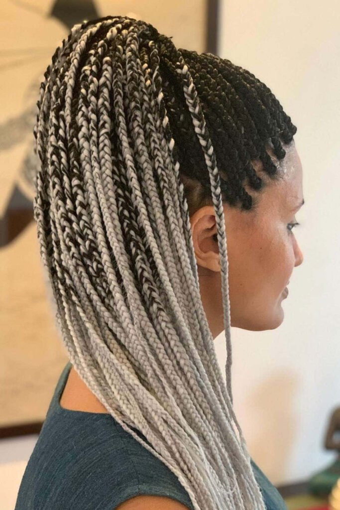 Grey and Silver Box Braids