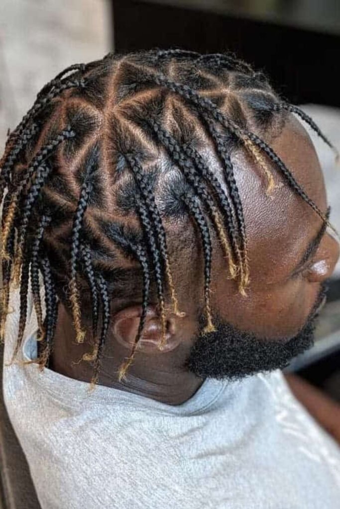 Middle Part Box Braids with Colored Ends