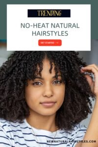 10 Trending No-Heat Natural Hairstyles for 2026 - New Natural Hairstyles