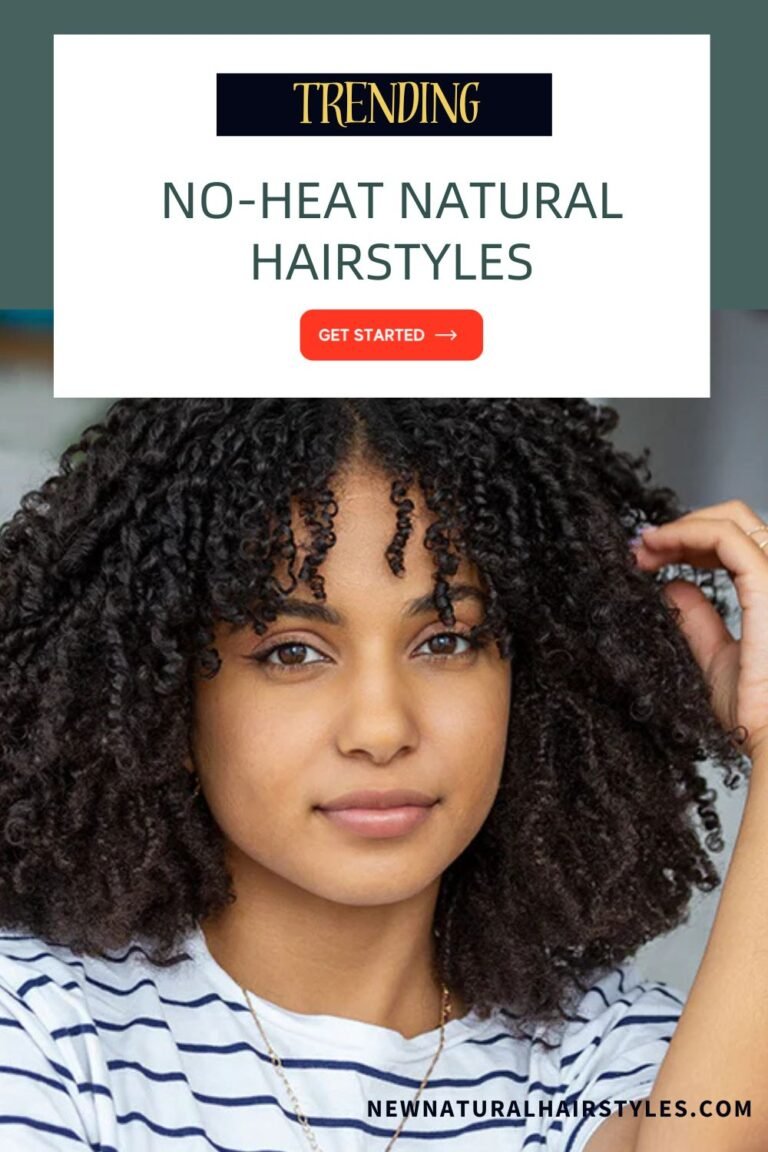 10 Trending No-Heat Natural Hairstyles for 2026 - New Natural Hairstyles