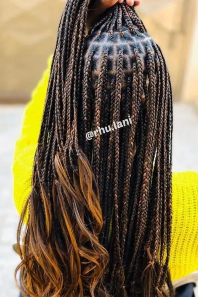 Tribal Knotless Braids with Color Highlights