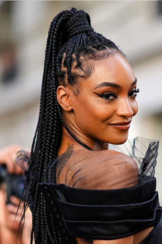  Protective Ponytail with Braids